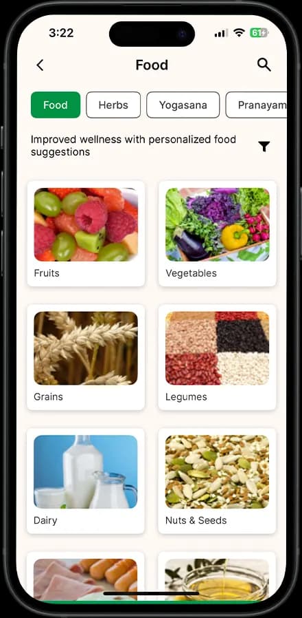 AyuRythm | Luxury Ayurveda & Holistic Wellness screen 3