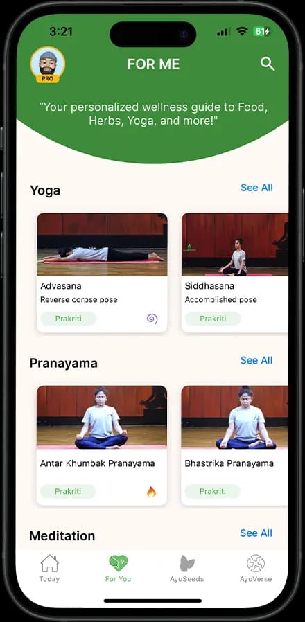 AyuRythm | Luxury Ayurveda & Holistic Wellness screen 6