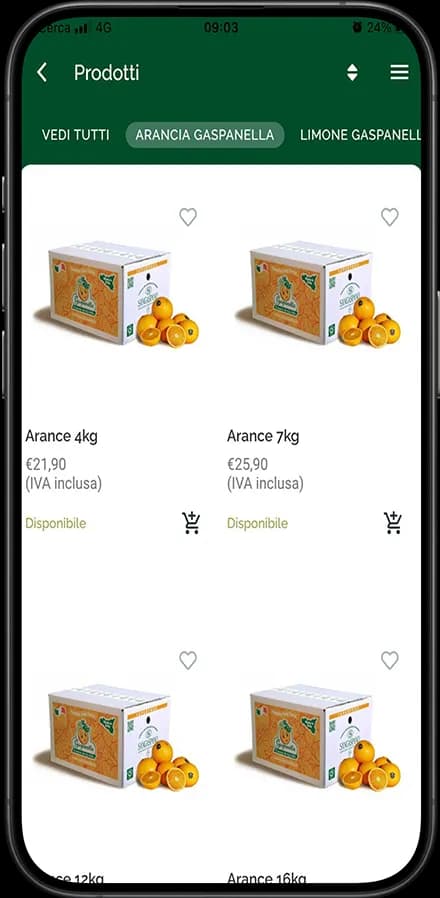 Sangaspano – Premium Fashion E-commerce Platform screen 2