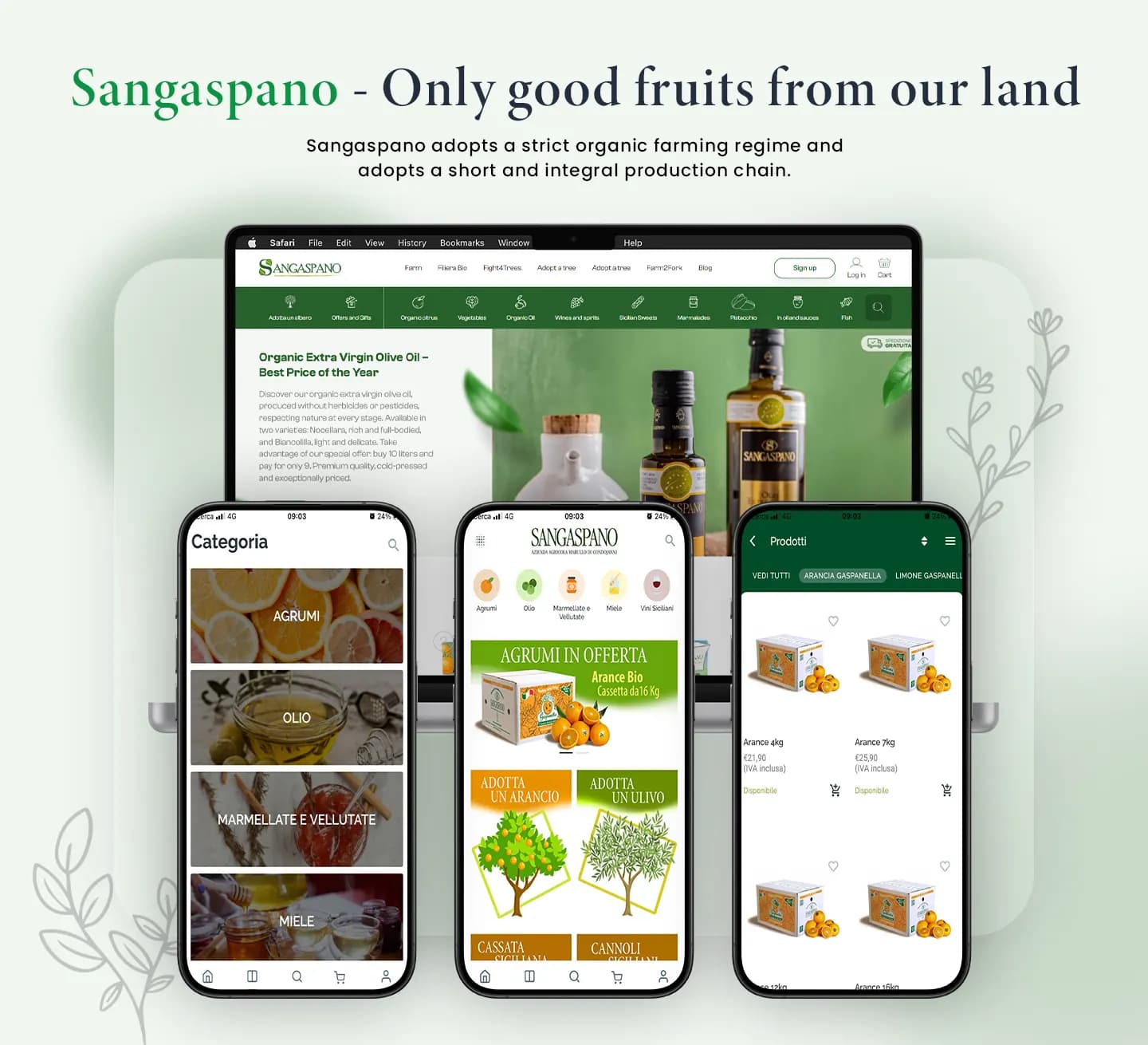 Sangaspano – Premium Fashion E-commerce Platform — the team