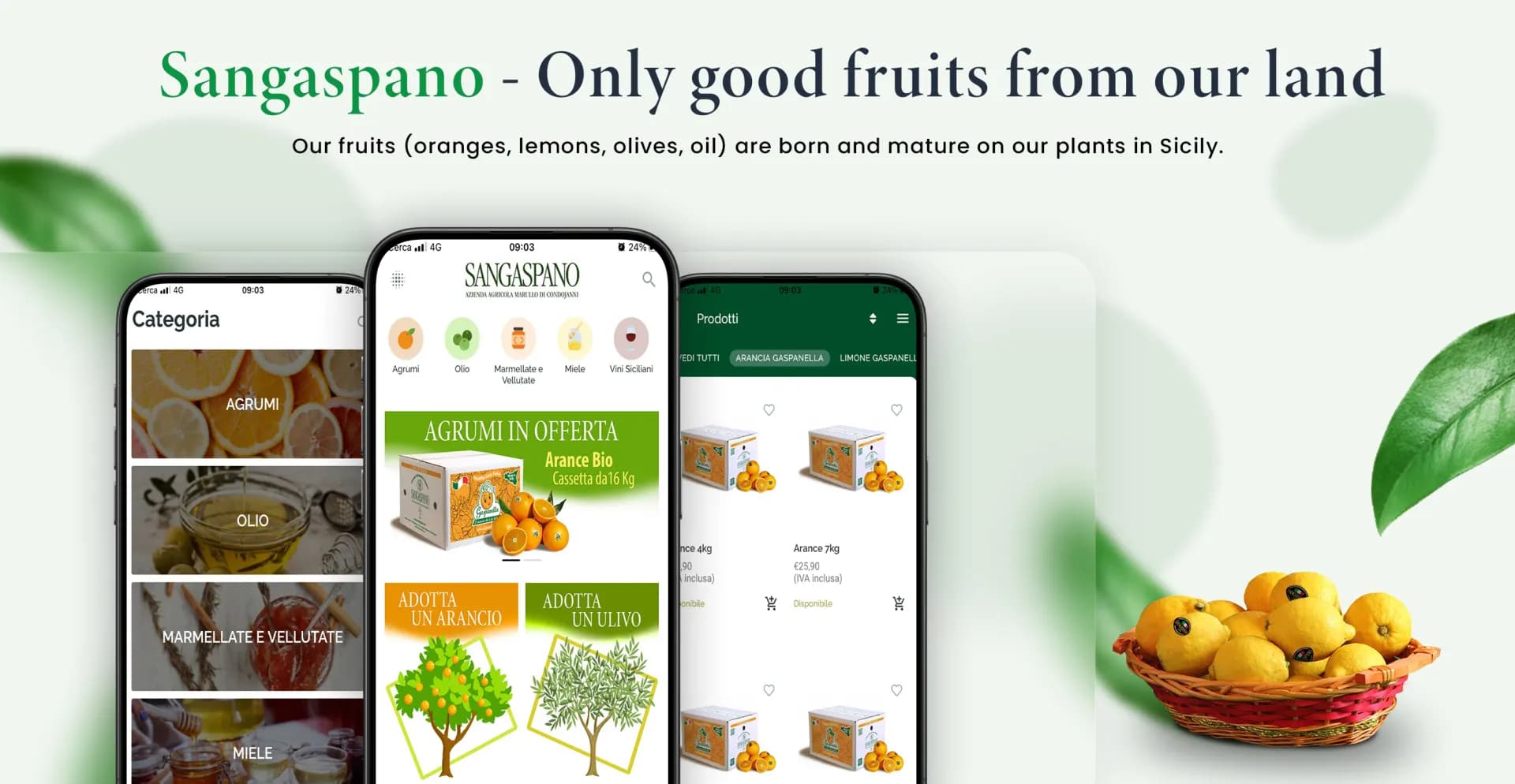 Sangaspano – Premium Fashion E-commerce Platform — visual system