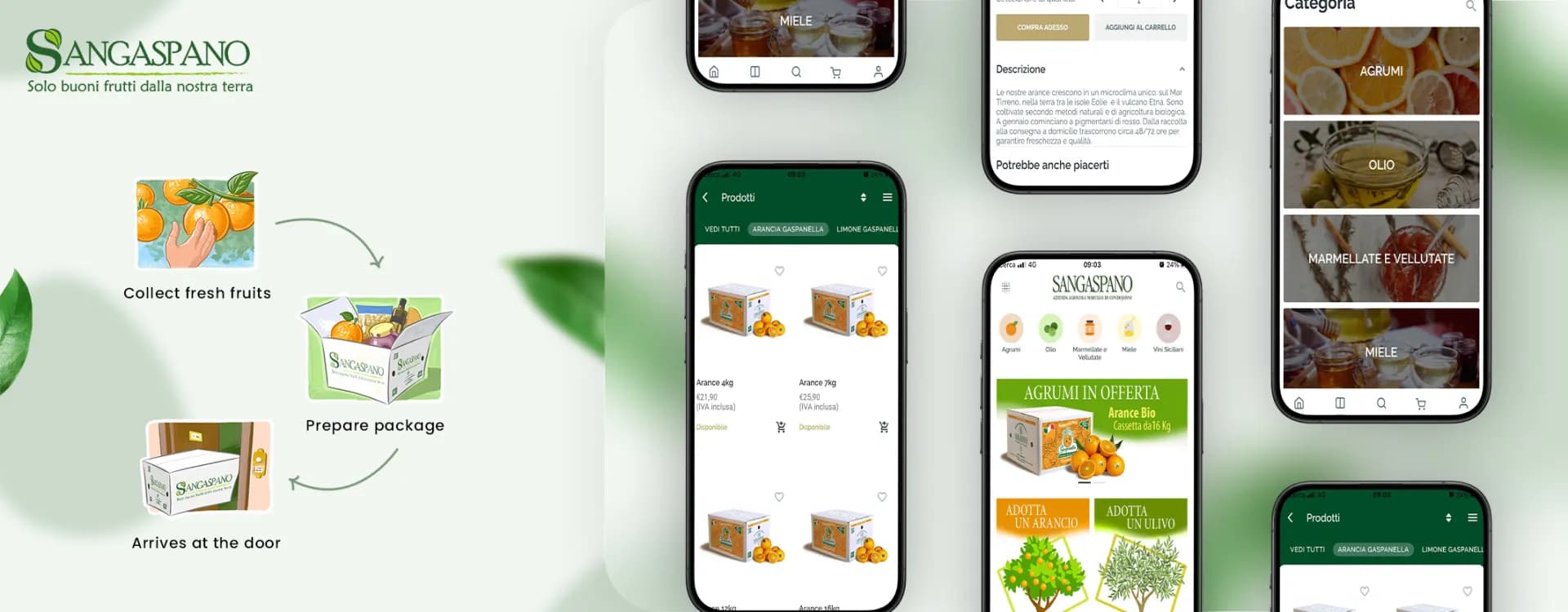Sangaspano – Premium Fashion E-commerce Platform — product overview